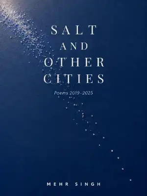 Salt and Other Cities front cover