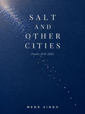 Salt and Other Cities front cover